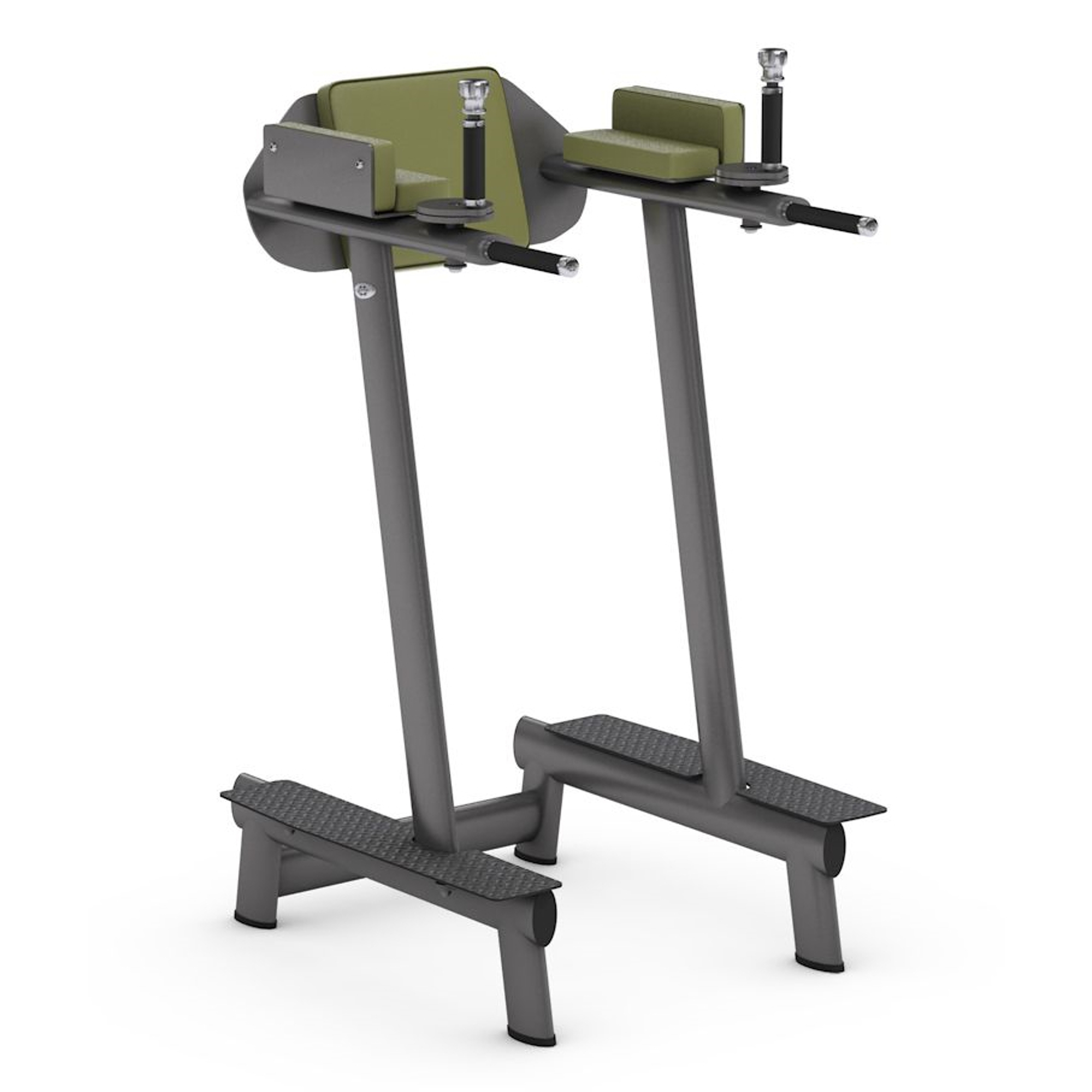 Gym80 Leg Raise Dip - Ergonomisk træningsstativ til core